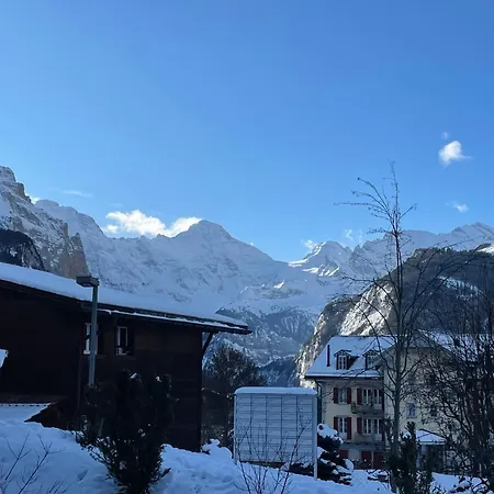 Apartment Schluecht Wengen
