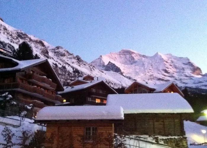 Schluecht Apartamento *