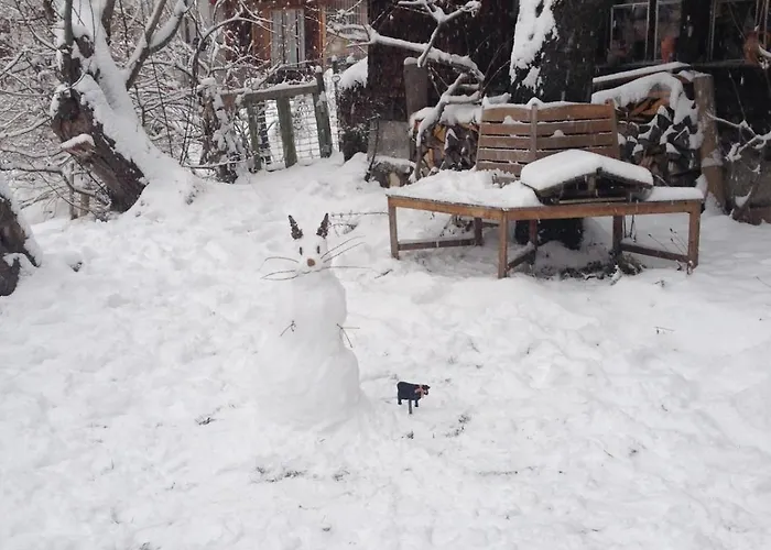 Schluecht Apartamento Wengen
